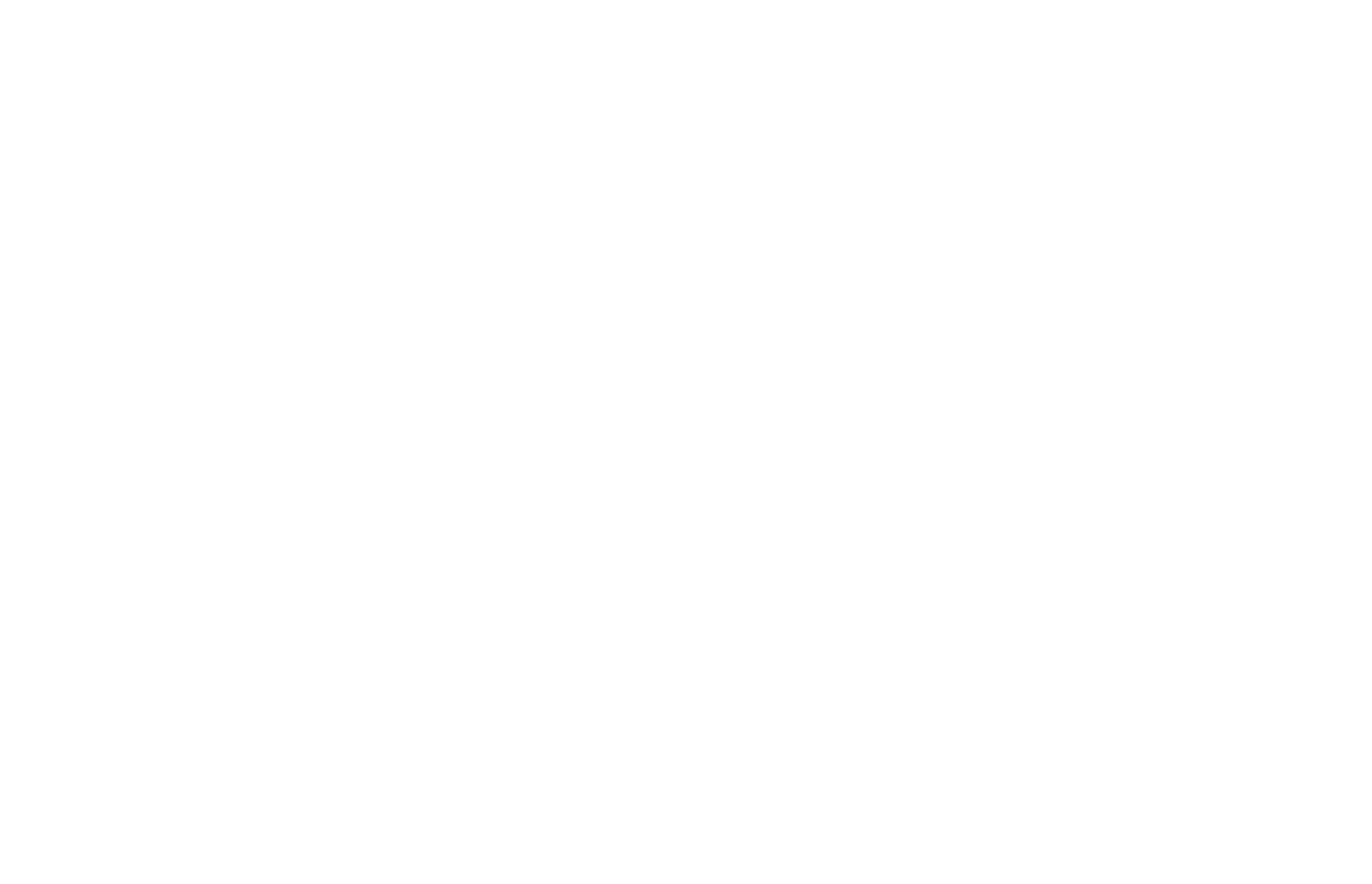 IRIS GST LOGO_White
