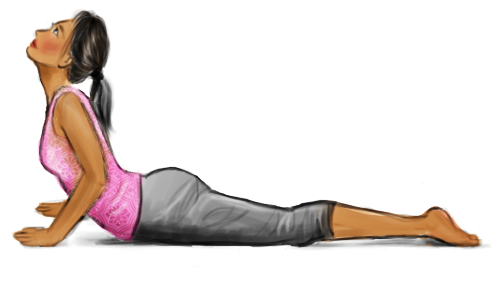 Bhujangasana – The Cobra Pose