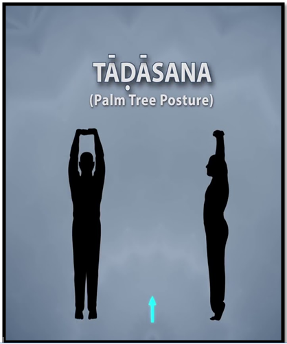 Mother of all Asana- Tadasana • Mandalas Life