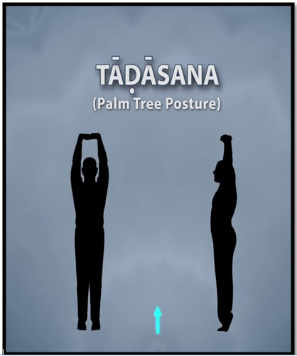 Tree Pose: Form, Benefits, Modifications, and Safety