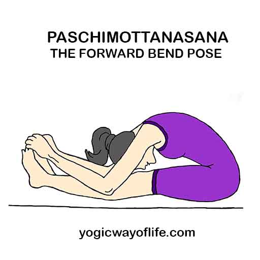 Paschimottanasana