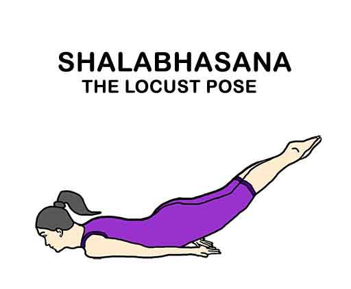 poorna shalabhasana