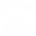 IRIS GST